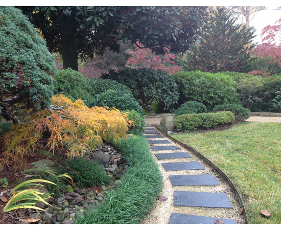 garden pathway